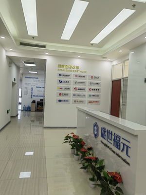 武漢盛世福元信息咨詢