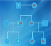 甘肅親子鑒定中心{銀川羊水鑒定費(fèi)用}-蘭州知真包您滿(mǎn)價(jià)格,甘肅親子鑒定中心{銀川羊水鑒定費(fèi)用}-蘭州知真包您滿(mǎn)廠家,蘭州知真健康信息咨詢(xún)中心_中國(guó)行業(yè)信息網(wǎng)